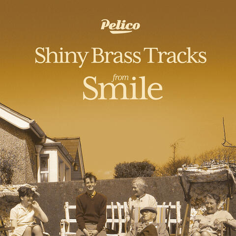 Shiny Brass Tracks from Smile