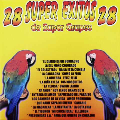 28 Super Éxitos: De Super Grupos