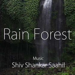 Rain Forest