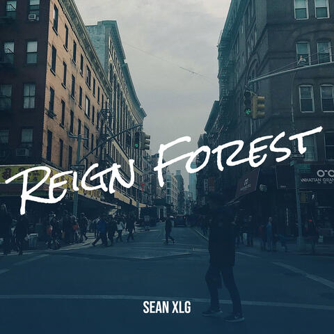 Reign Forest