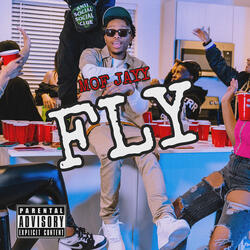 Fly