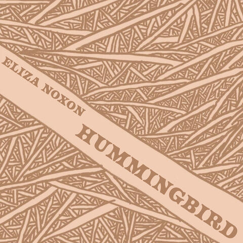 Hummingbird