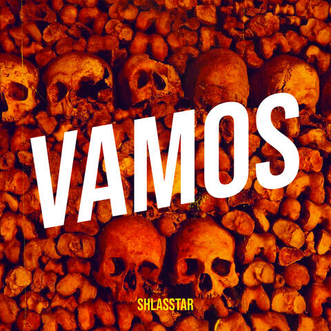Vamos
