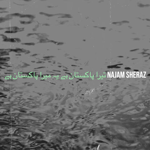 تیرا پاکستان ہے یہ میرا پاکستان ہے