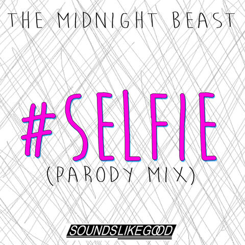 #Selfie (Parody)