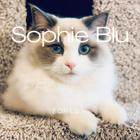Sophie Blu