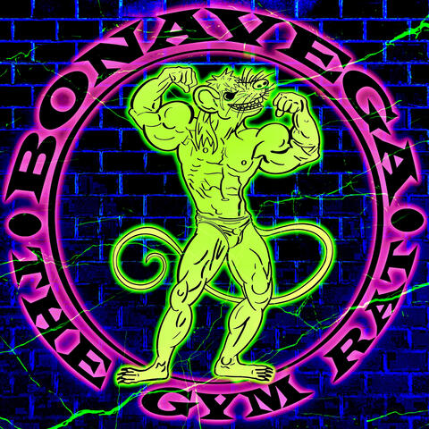 The Gym Rat