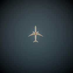 Airline