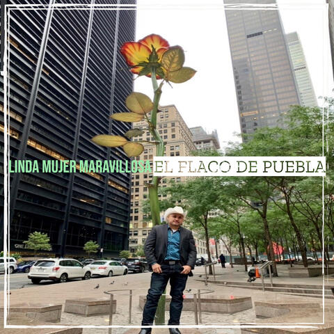 Linda Mujer Maravillosa