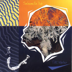 Thc Winter (Technova Radio Mix)