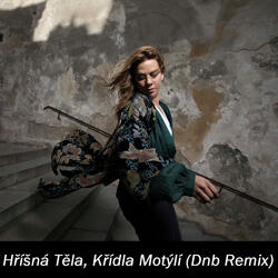 Hříšná Těla, Křídla Motýlí (Dnb Remix)