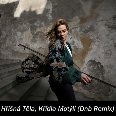 Hříšná Těla, Křídla Motýlí (Dnb Remix)