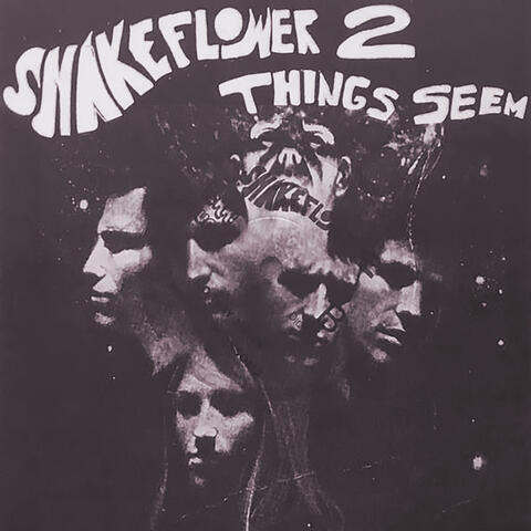 Things Seem