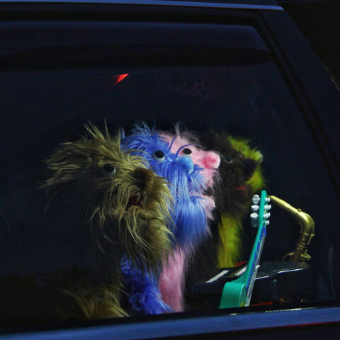 Songs in the Key of Staten Island