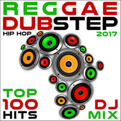 Trippin (Reggae Hip Hop & Dubstep Trap 2017 DJ Mix Edit)