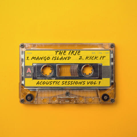 Acoustic Sessions , Vol. I