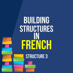 French Structure 3 Lesson 8c