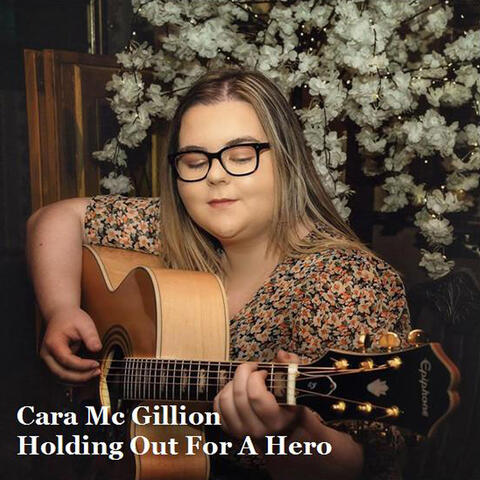 Holding out for a Hero