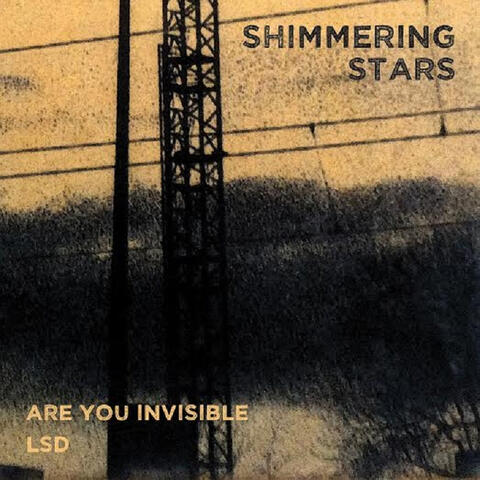 Are You Invisible / Lsd