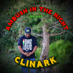 Ambush in the Night (Cover)