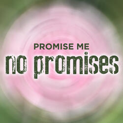 No Promises (Radio Edit)