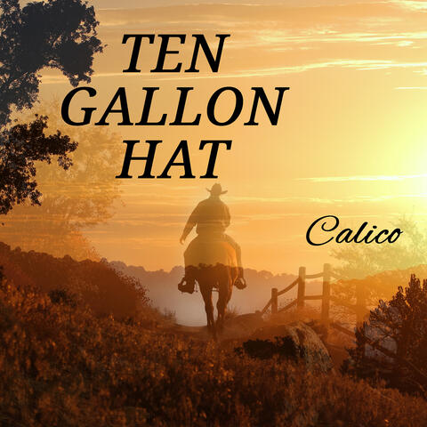 Ten Gallon Hat