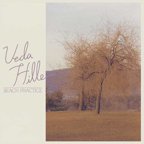 Veda Hille