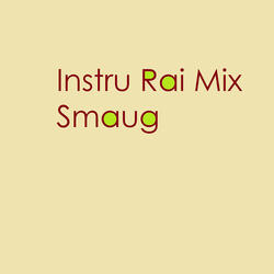 Instru Rai Mix