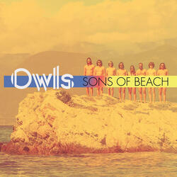 IntrOwls