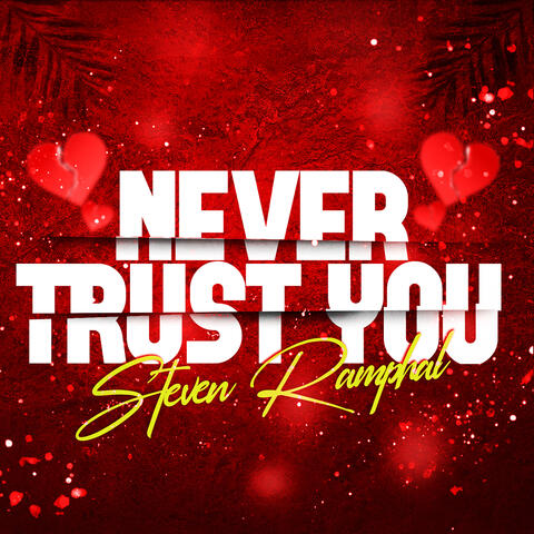Never Trust You