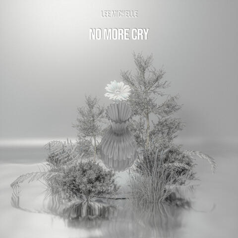 No More Cry