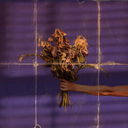 All Rain, No Flowers