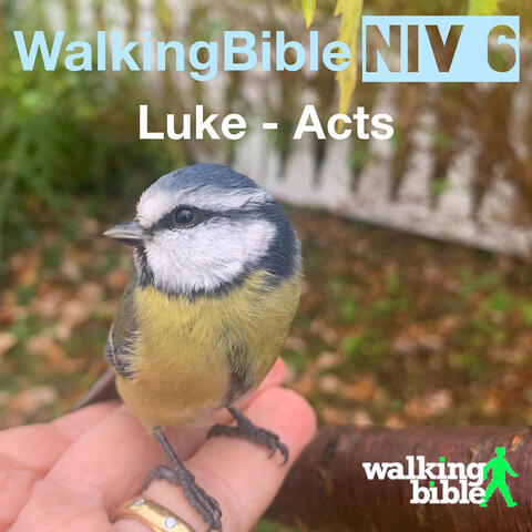 WalkingBible Niv 6 Luke - Acts