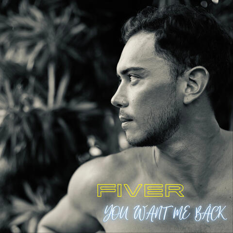 You Want Me Back