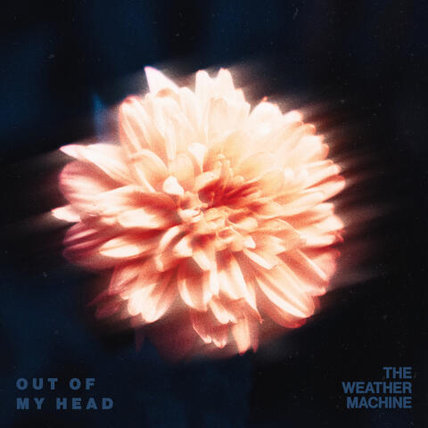 Out of My Head