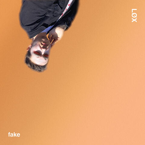 Fake (Radio Edit)