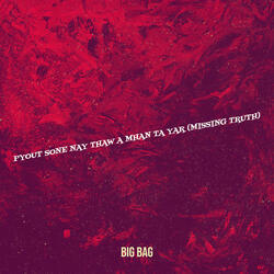 Pyout Sone Nay Thaw a Mhan Ta Yar (Missing Truth)