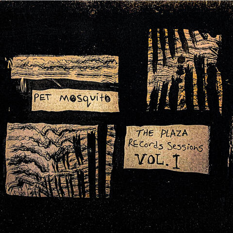 The Plaza Records Sessions, Vol. 1