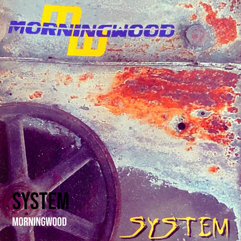 System
