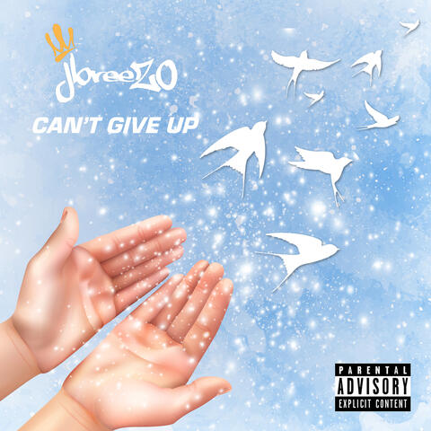 Can't Give Up