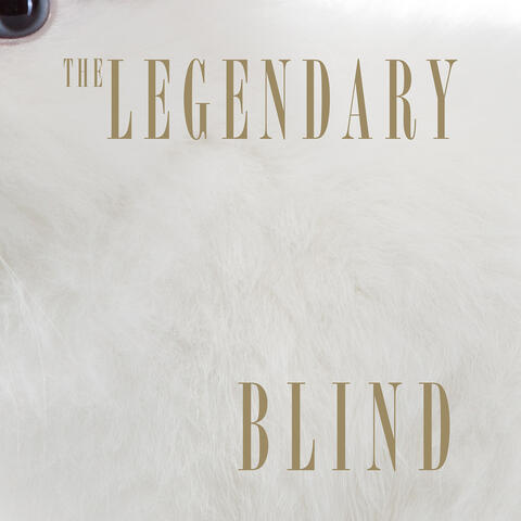 Blind