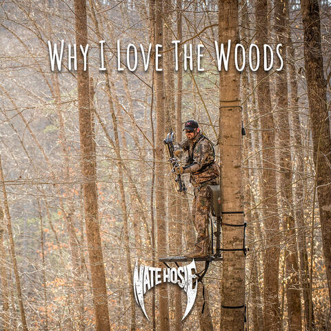 Why I Love the Woods