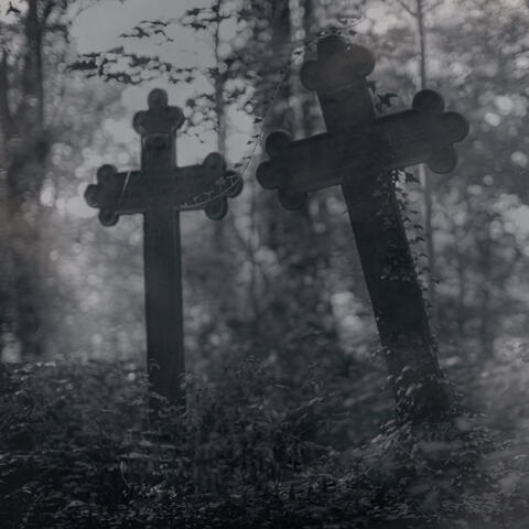 Two Graves Reserved