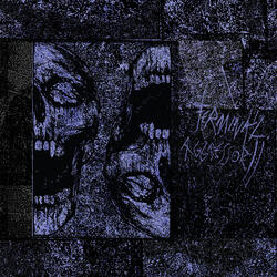 Terminal Aggressor II