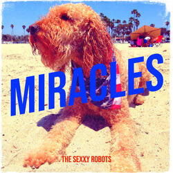 Miracles
