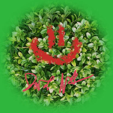 Jack Plant