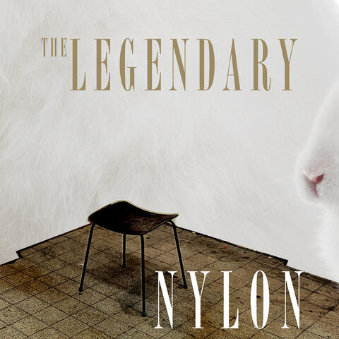 Nylon