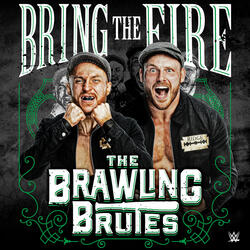 WWE: Bring The Fire (The Brawling Brutes)