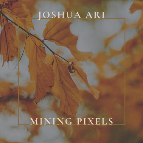 Mining Pixels