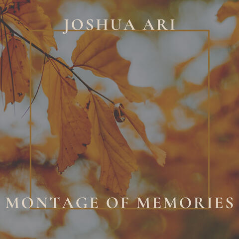 Montage of Memories
